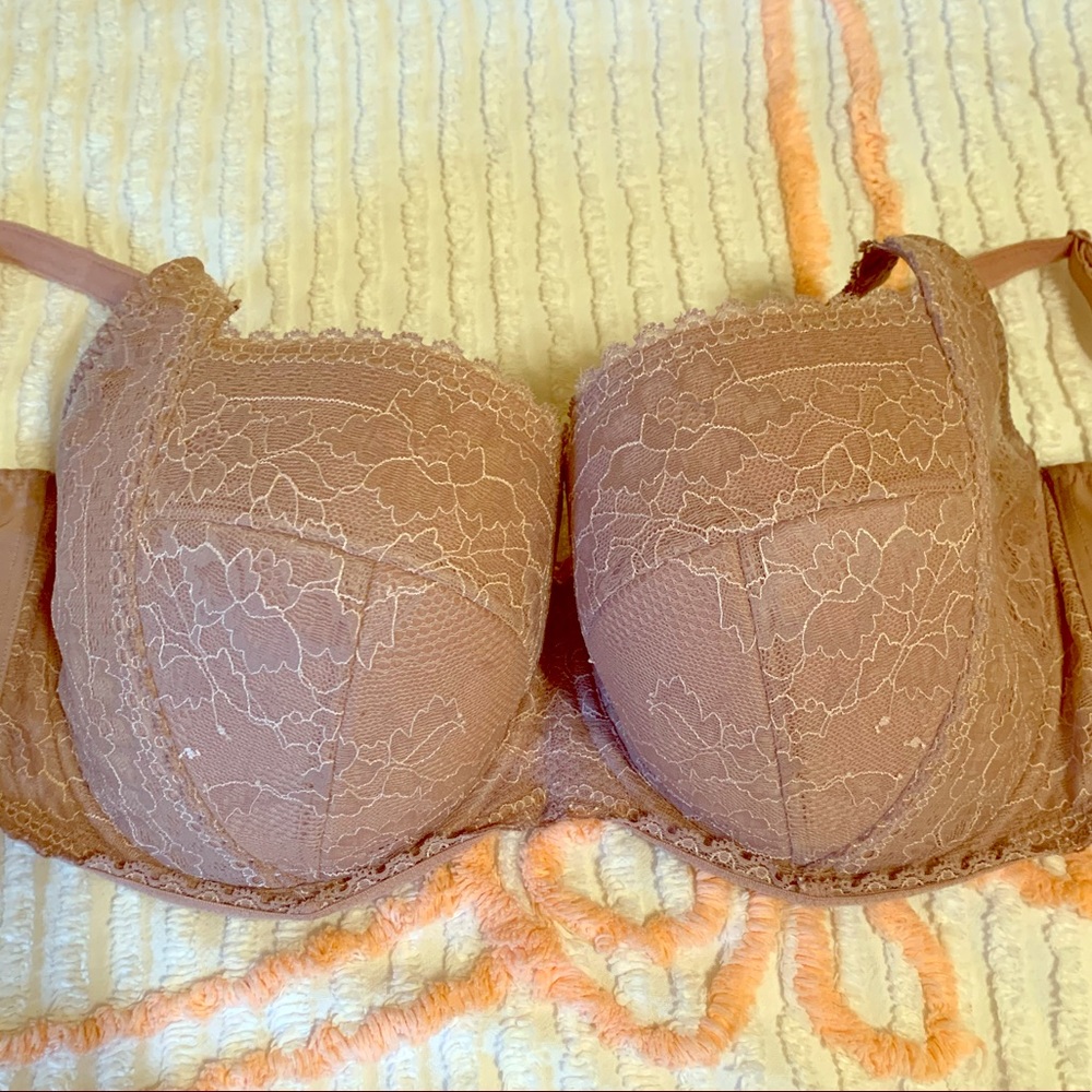Panache Petra Bra in 32H